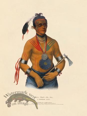 Hoo-wan-ne-ka Winnebago